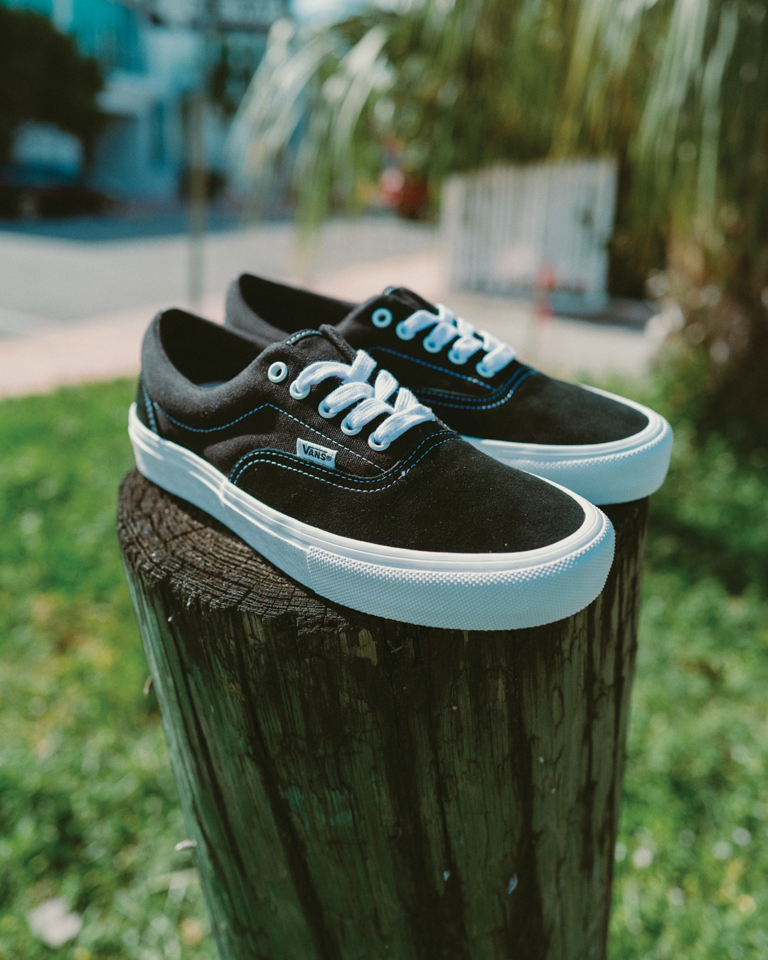 Black Skate Eras on a wooden fence.