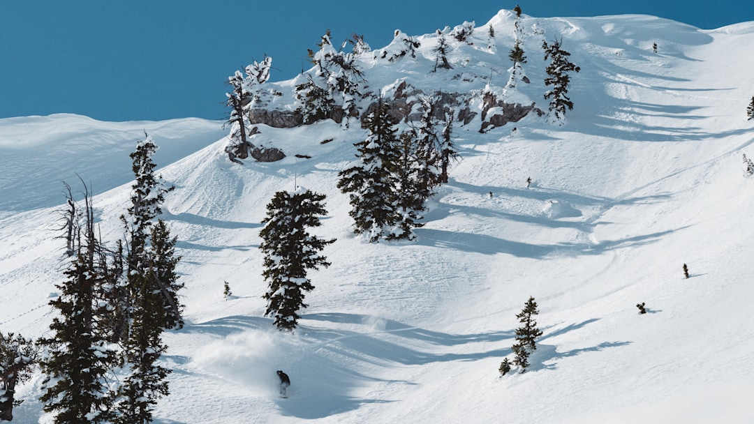 Snowboarder making a turn at the bottom of a freeride line.