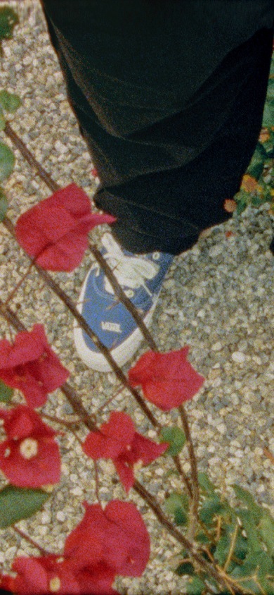 Close up of the OTW by Vans Era 59 in blue with flowers around