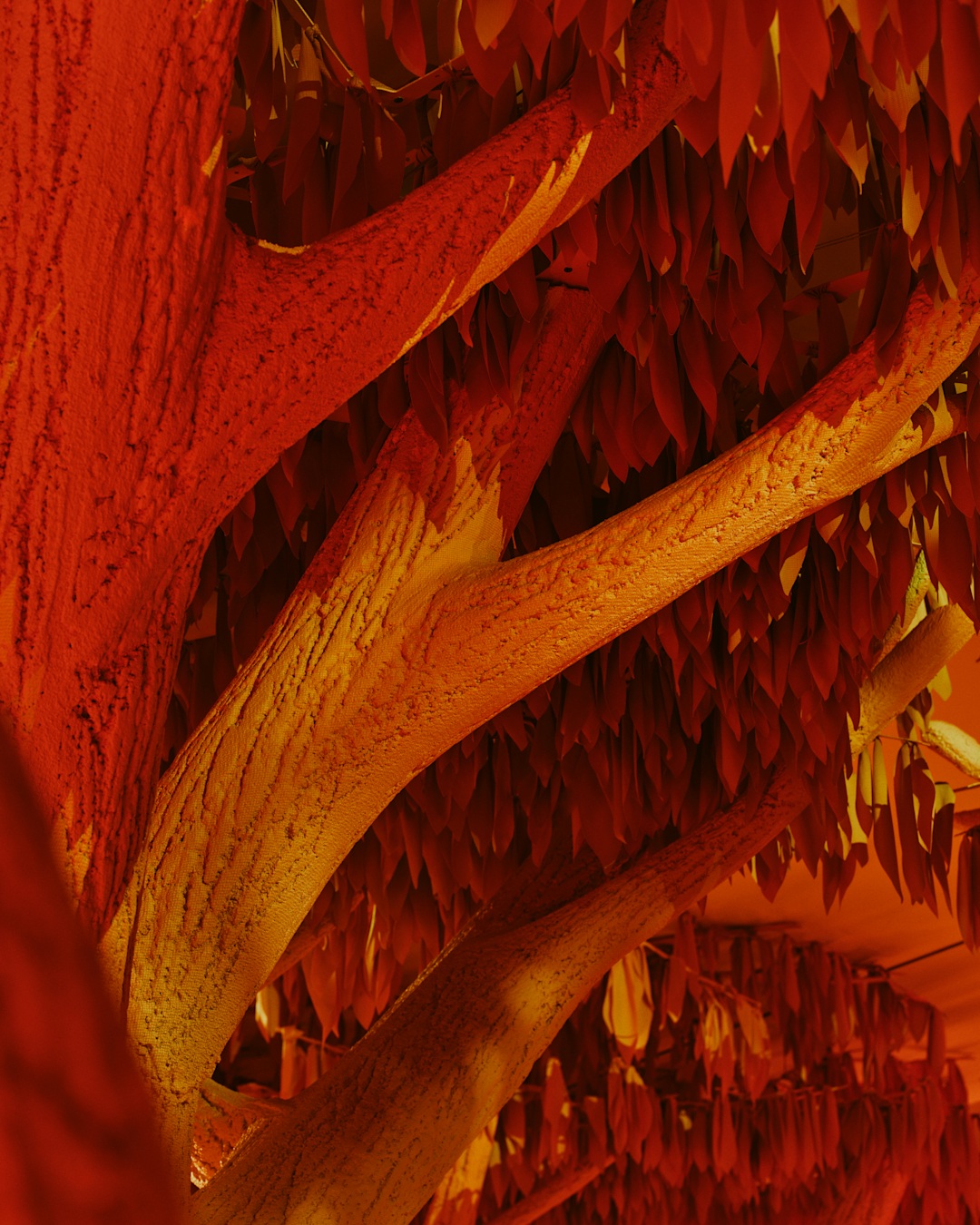 Close up shot of tree from the inside of Vansza immersive NYFW experience
