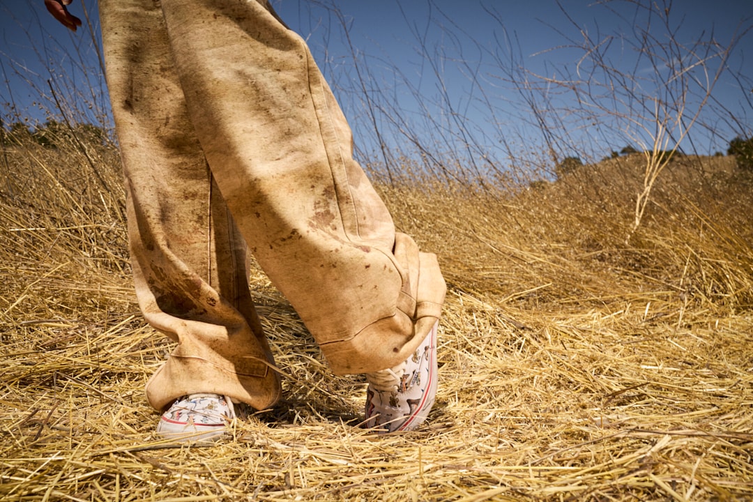 Lifestyle shot showcasing the VANSZA Workwear Trompe L'oeil Sweatpant and Authentic Kickdown Shoe among tall dry grass.
