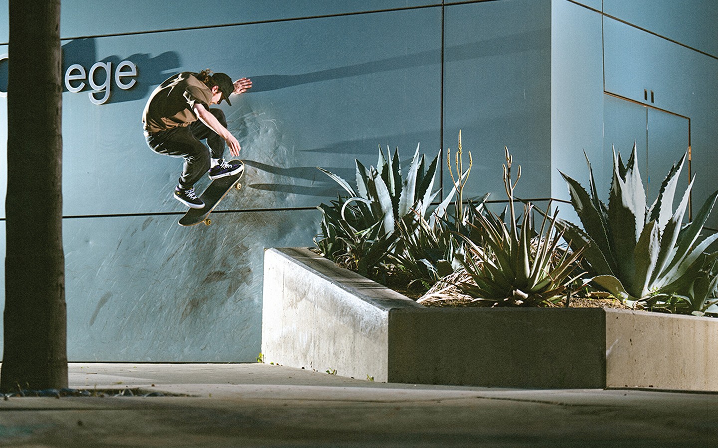 Half-Cab | Vans US