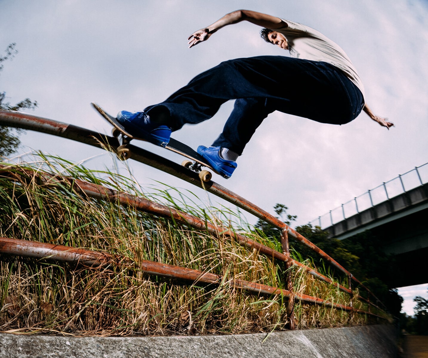 Vans Skate | Vans US