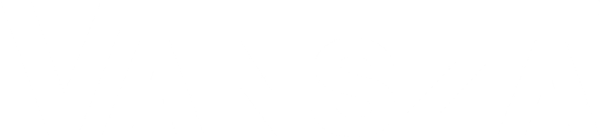 VANSZA logo