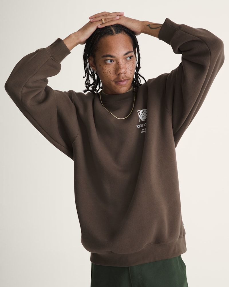 Мужские худи Vans Circle Bones Formula Crew Sweatshirt — фото 3