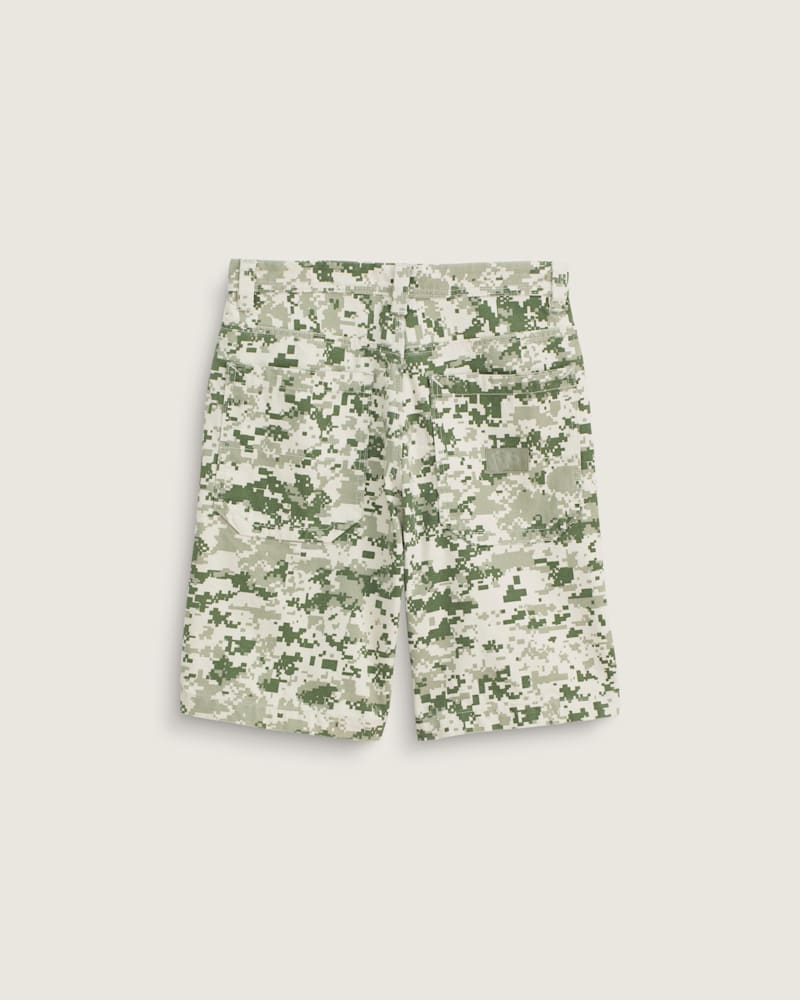 Мужские брюки Vans Premium Check-5 Baggy Canvas Short — фото 2