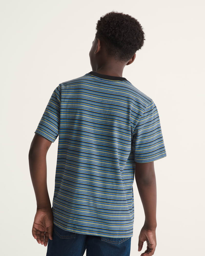 Мужские рубашки Vans Kids Cameron Stripe Knit Shirt — фото 4