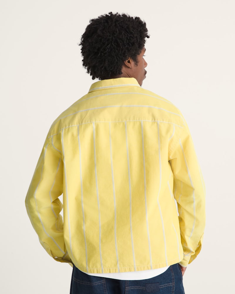 Мужские рубашки Vans Striped Oxford Long Sleeve Shirt — фото 4