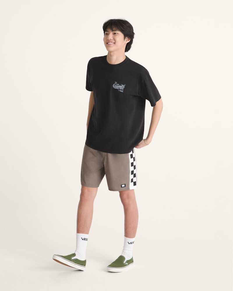 Мужские кроссовки Vans Daily Sideline Boardshorts — фото 4