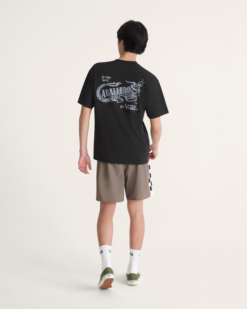 Мужские кроссовки Vans Daily Sideline Boardshorts — фото 5
