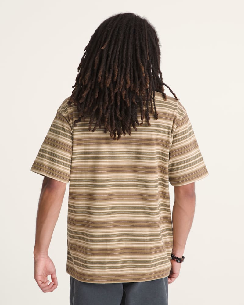 Мужские рубашки Vans Ringer Striped Knit Shirt — фото 4