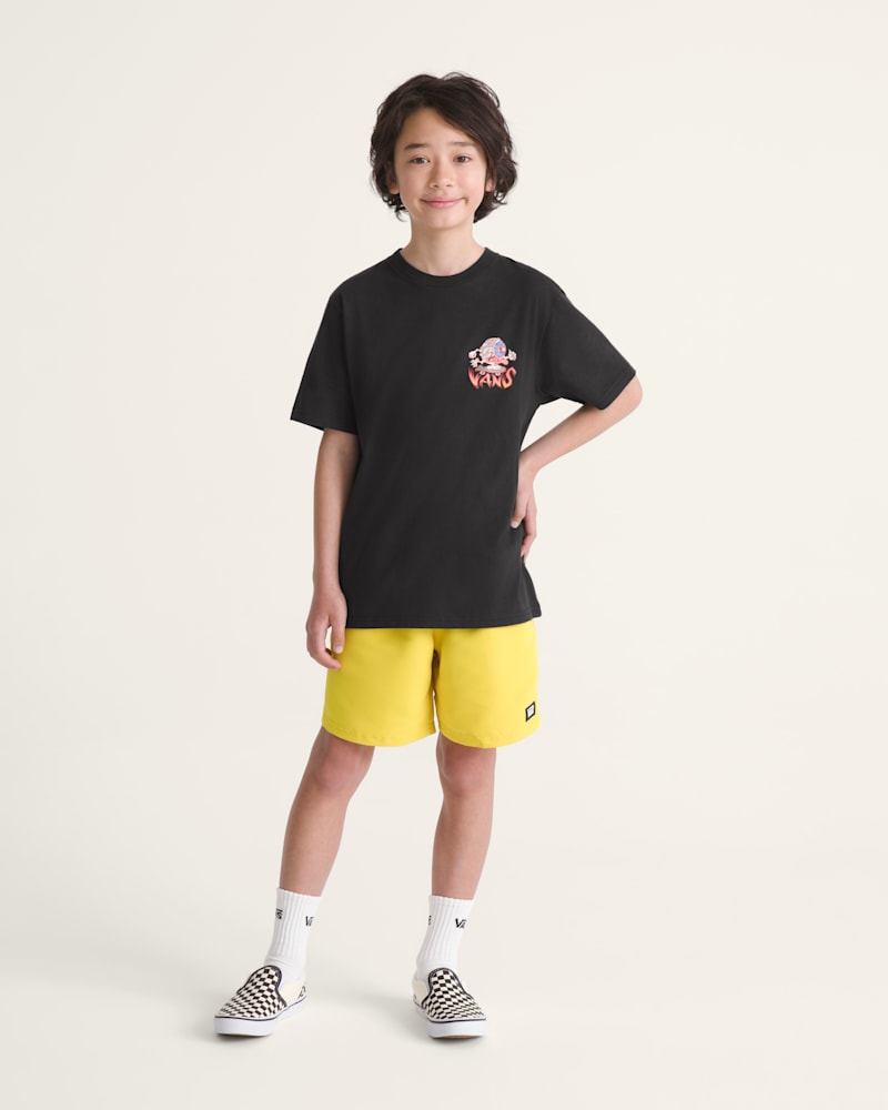 Детские кроссовки Vans Kids Primary II Elastic Boardshorts — фото 4