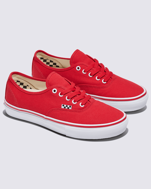 Customs Skate Authentic Shoe in Customs | Vans
