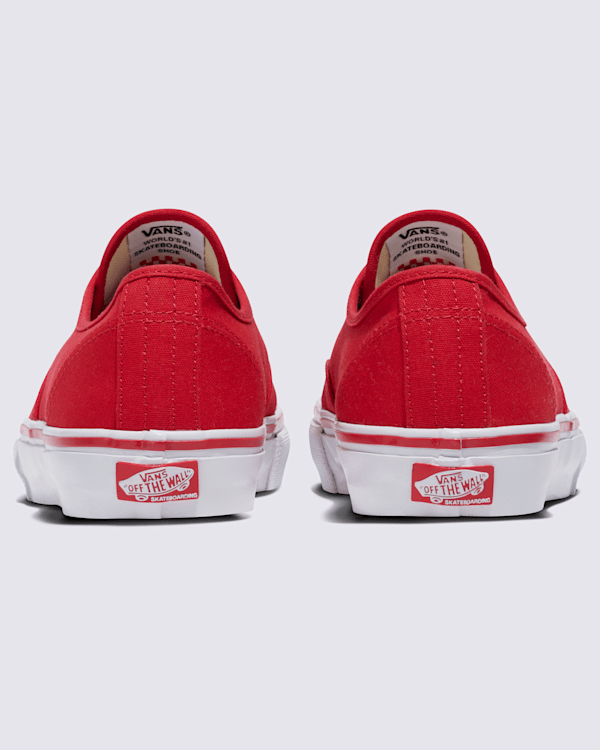 Customs Skate Authentic Shoe in Customs | Vans