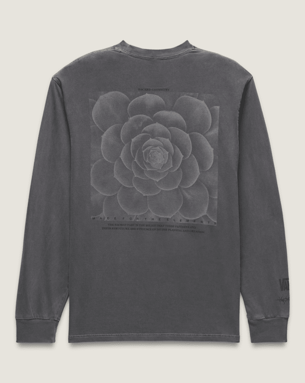 MTE-Divine-Symmetry-Long-