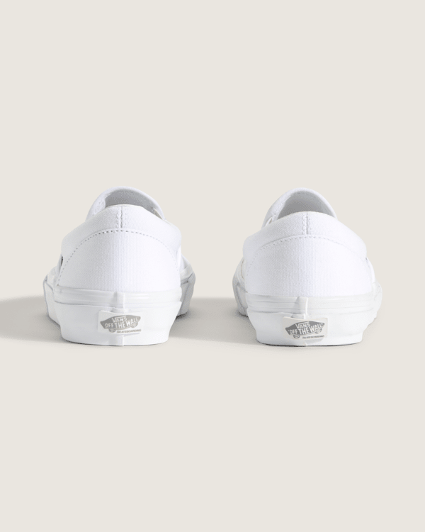 Skate-SlipOn-Shoe-VANS-True-  display picture 3