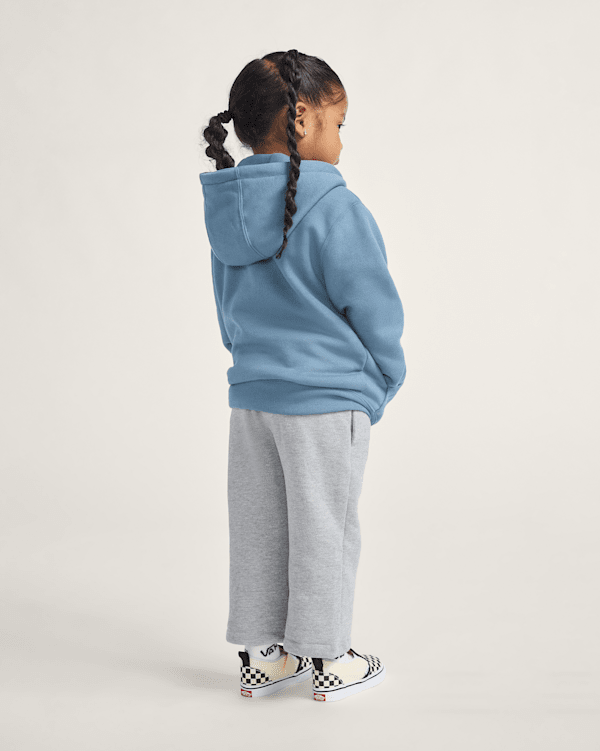 Little Kids Vans Sk8 Pullover Hoodie