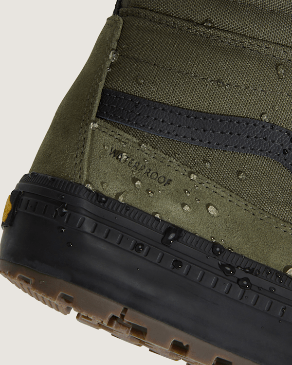 Sk8-Hi Waterproof Insulated Shoe
