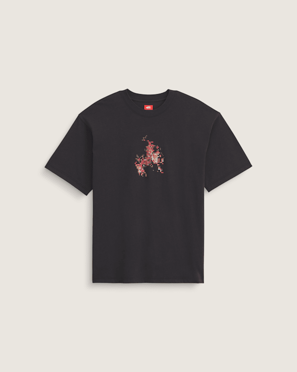 Skate Flame T-Shirt in Black | Vans