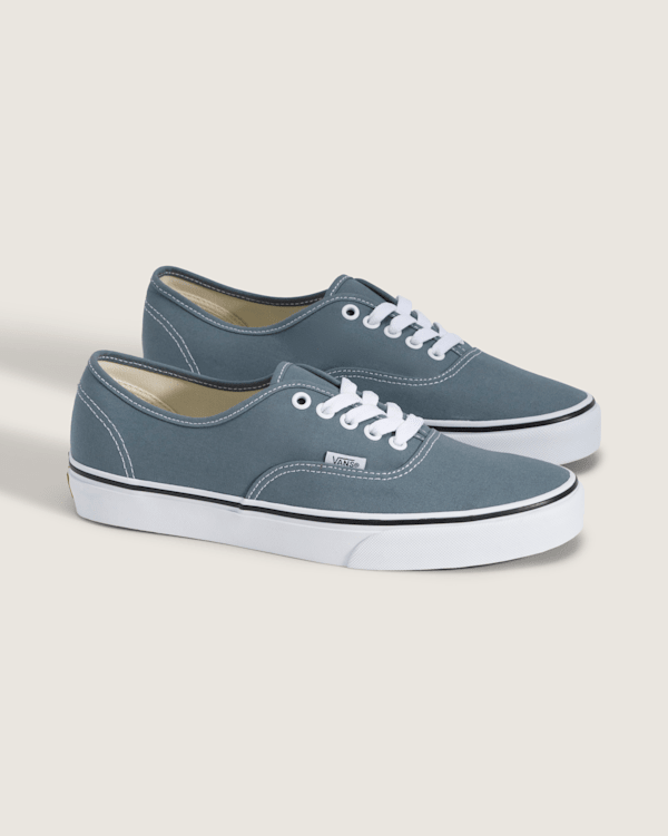 Authentic Shoe en Stormy Weather Blue | Vans CA display picture 1