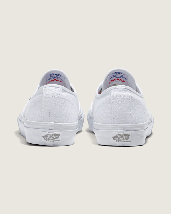 Skate Authentic Shoe
