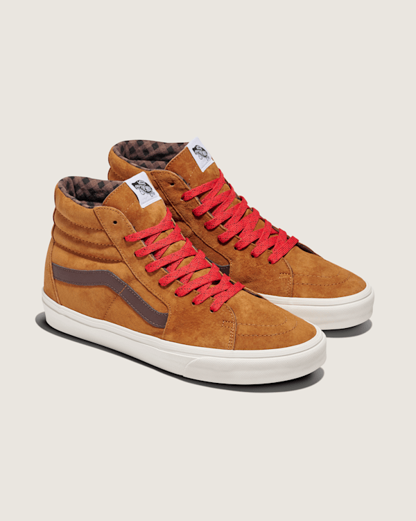 Sk8-Hi Suede Shoe