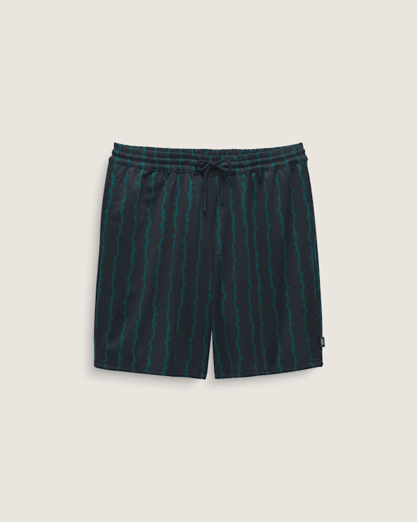Skate Loose 20'' Sport Shorts