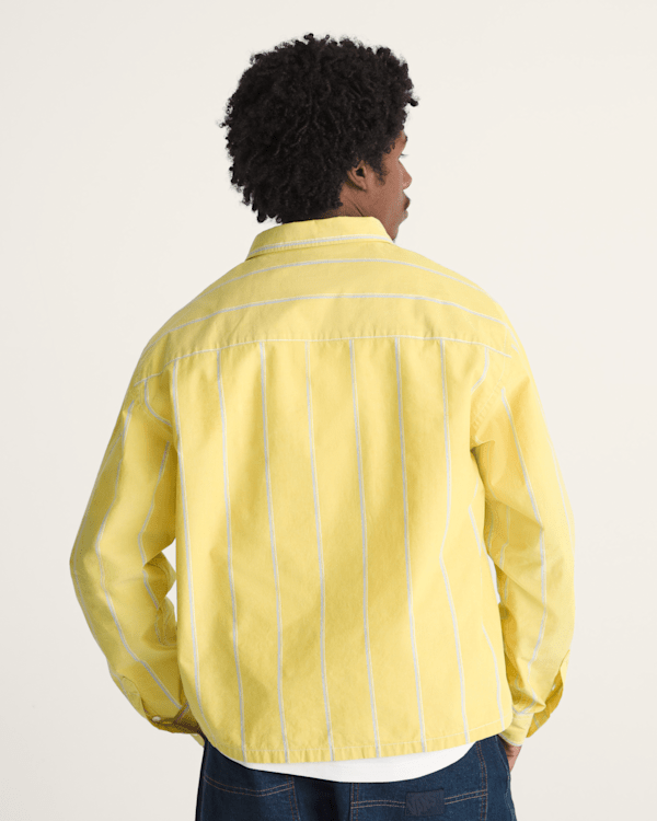 Striped Oxford Long Sleeve Shirt