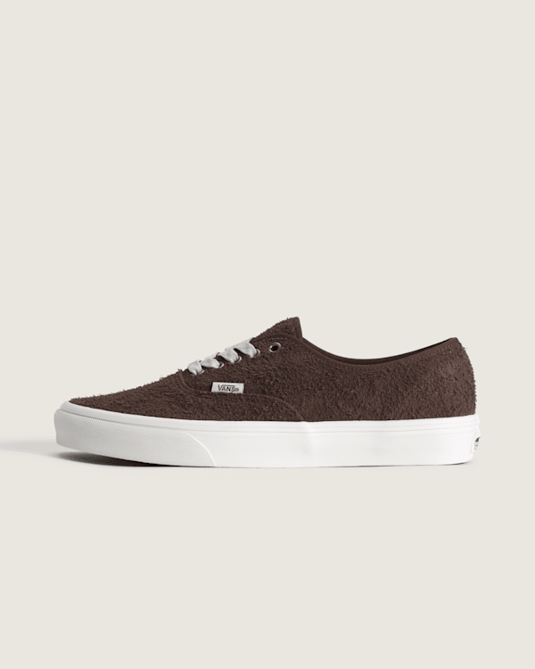 Authentic-Shoe-VANS-HERO.png