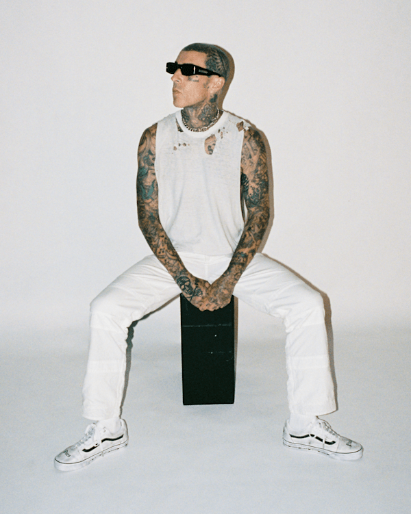 Vans X Travis Barker Old Skool Shoe