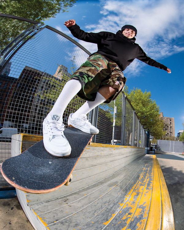 Skate Rowan Z3 Shoe