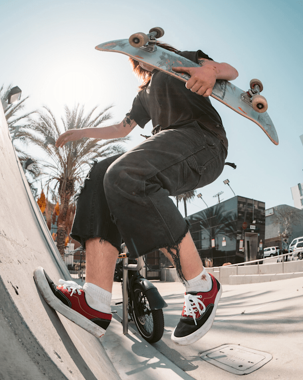 Skate Era Shoe in Black / Dark Red | Vans