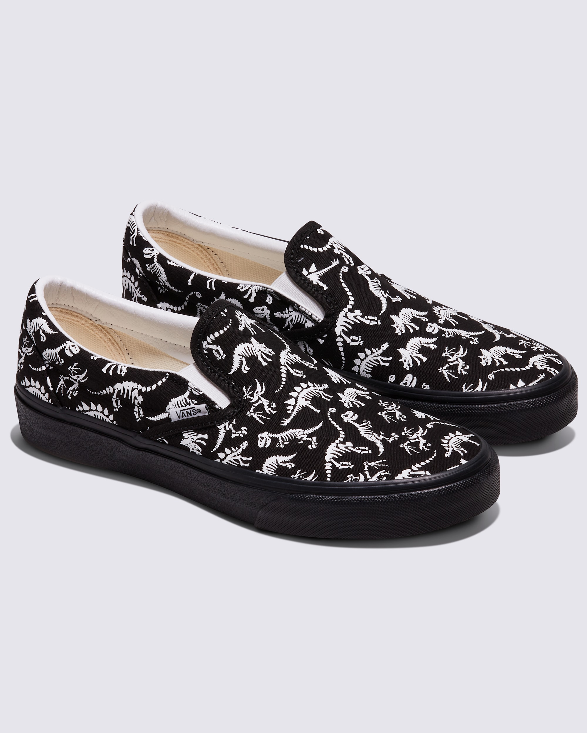 Customs Classic SlipOn Shoe VANS Customs ALT1