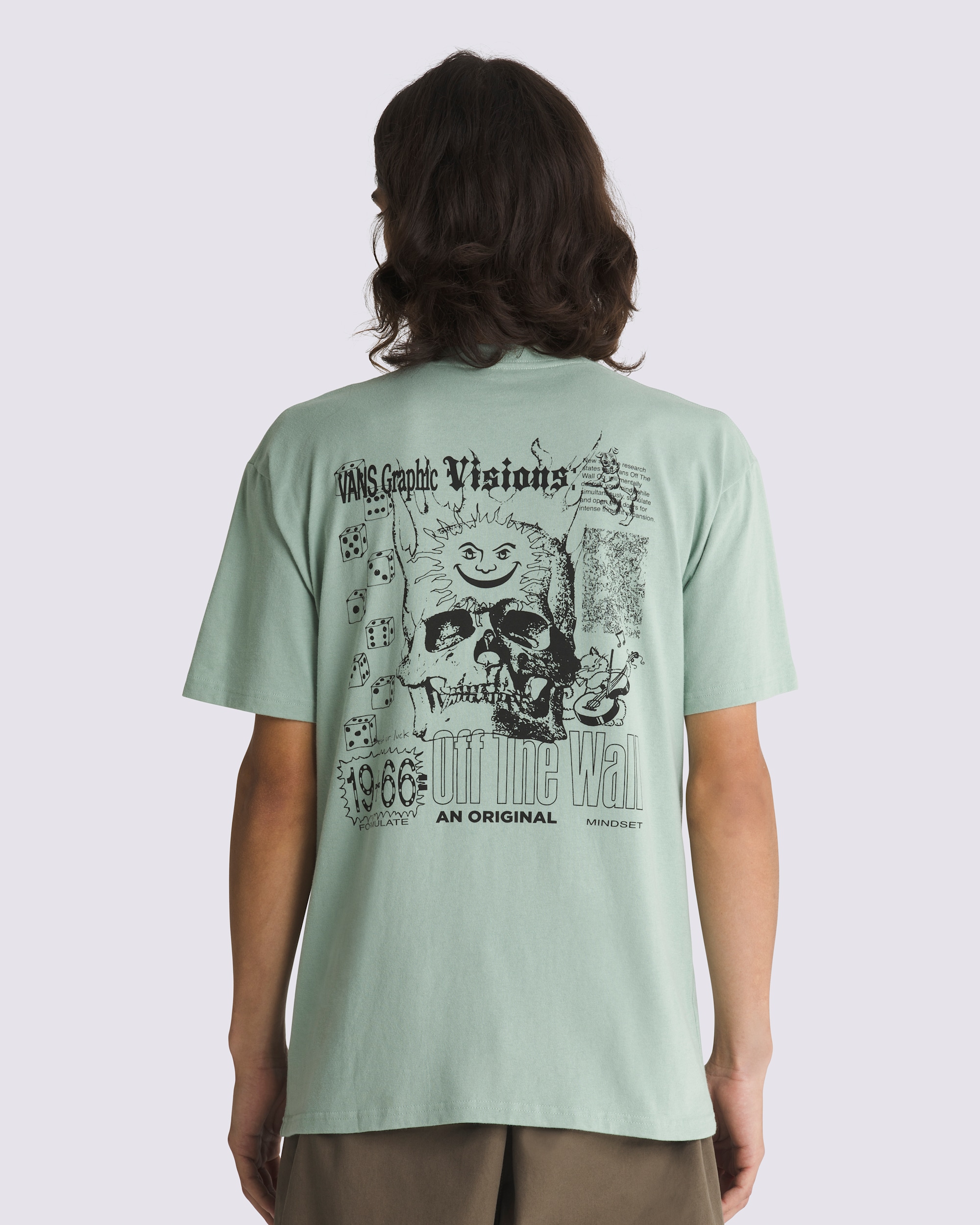 Expand Visions TShirt VANS Iceberg Green HERO