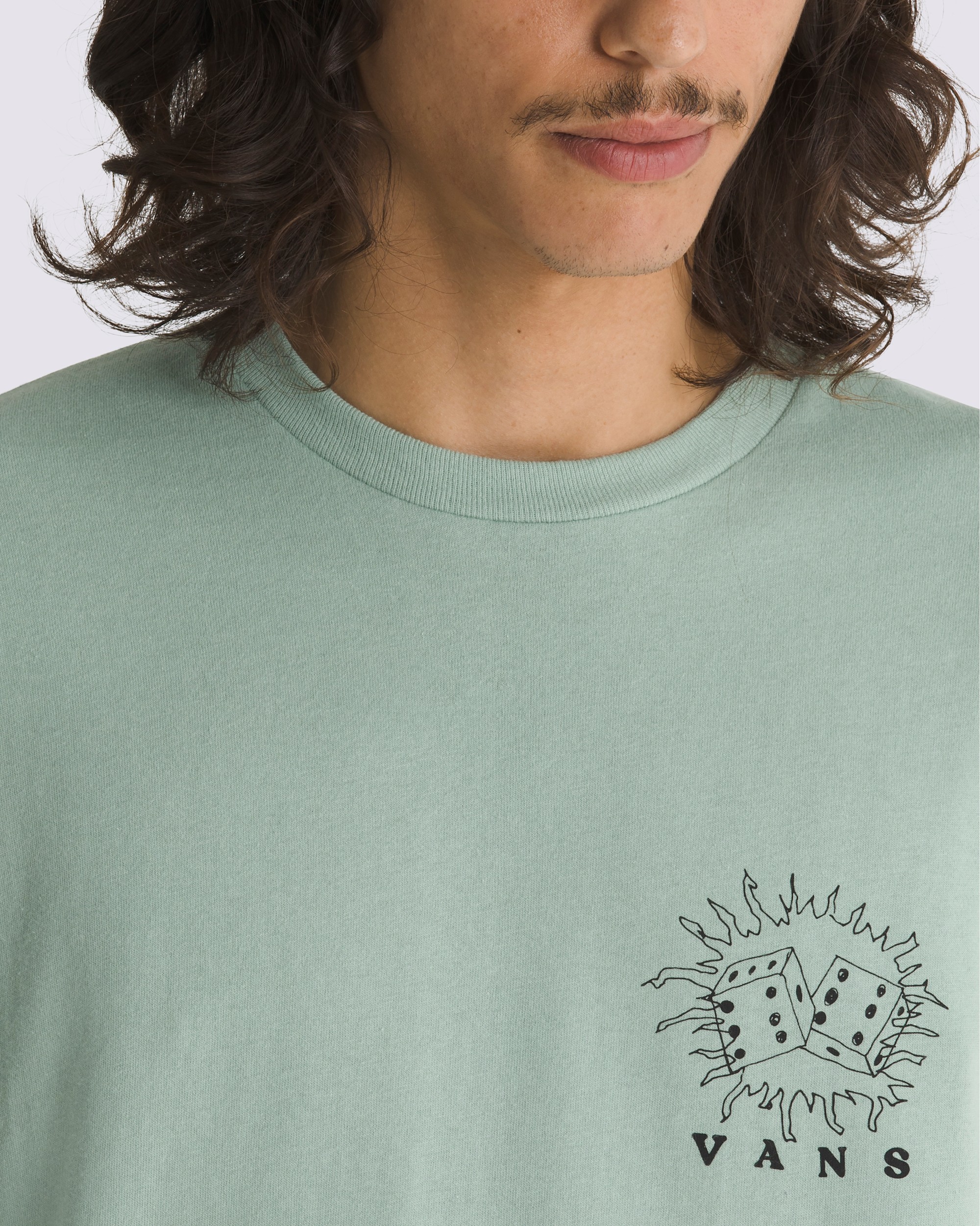 Expand Visions TShirt VANS Iceberg Green ALT3