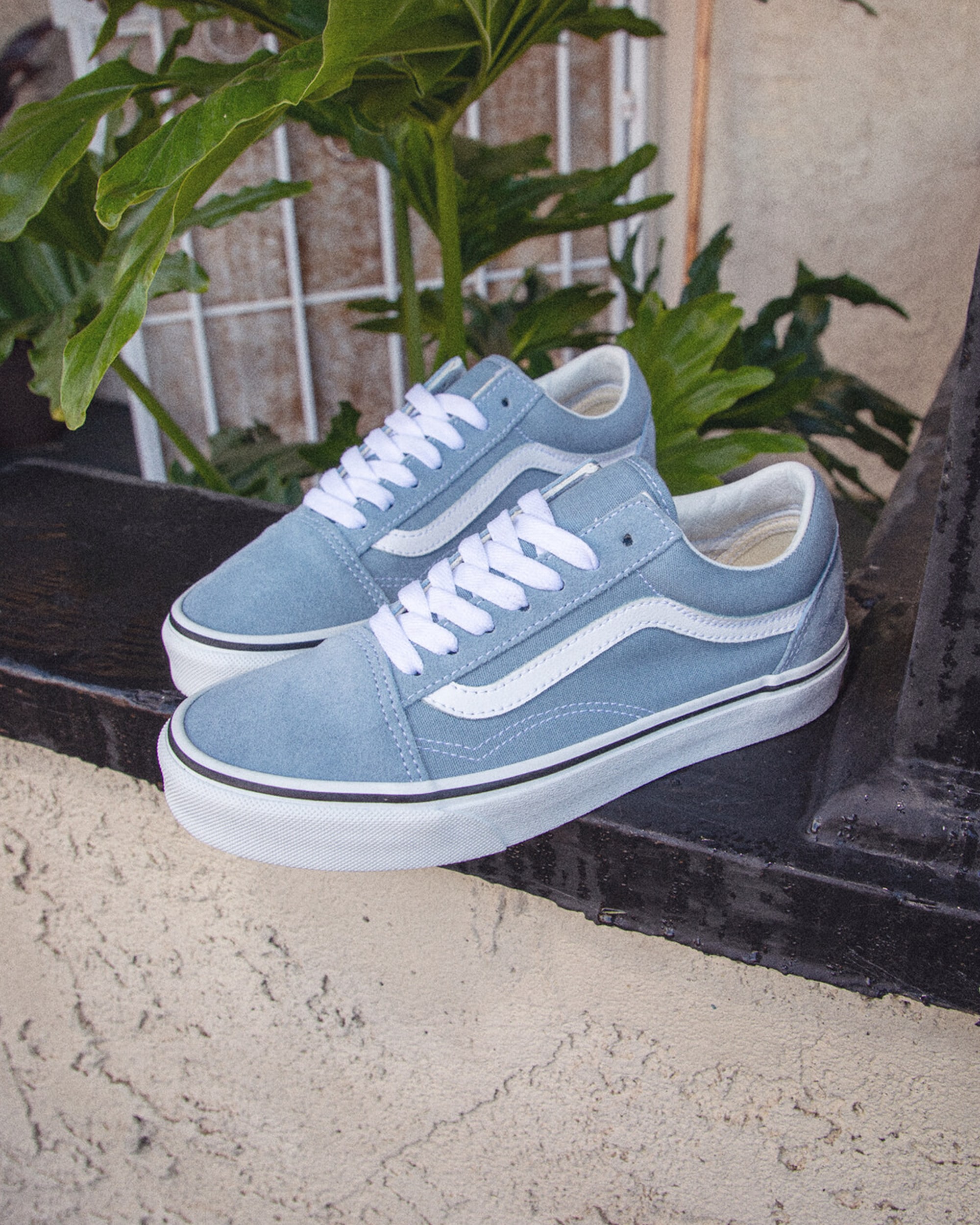 Old Skool Shoe VANS Dusty Blue ALT1