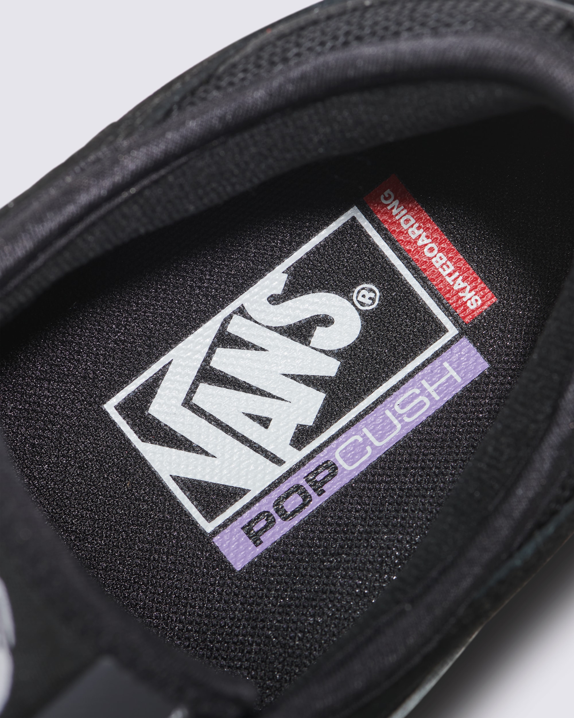 Skate Rowley Shoe VANS Black ALT4
