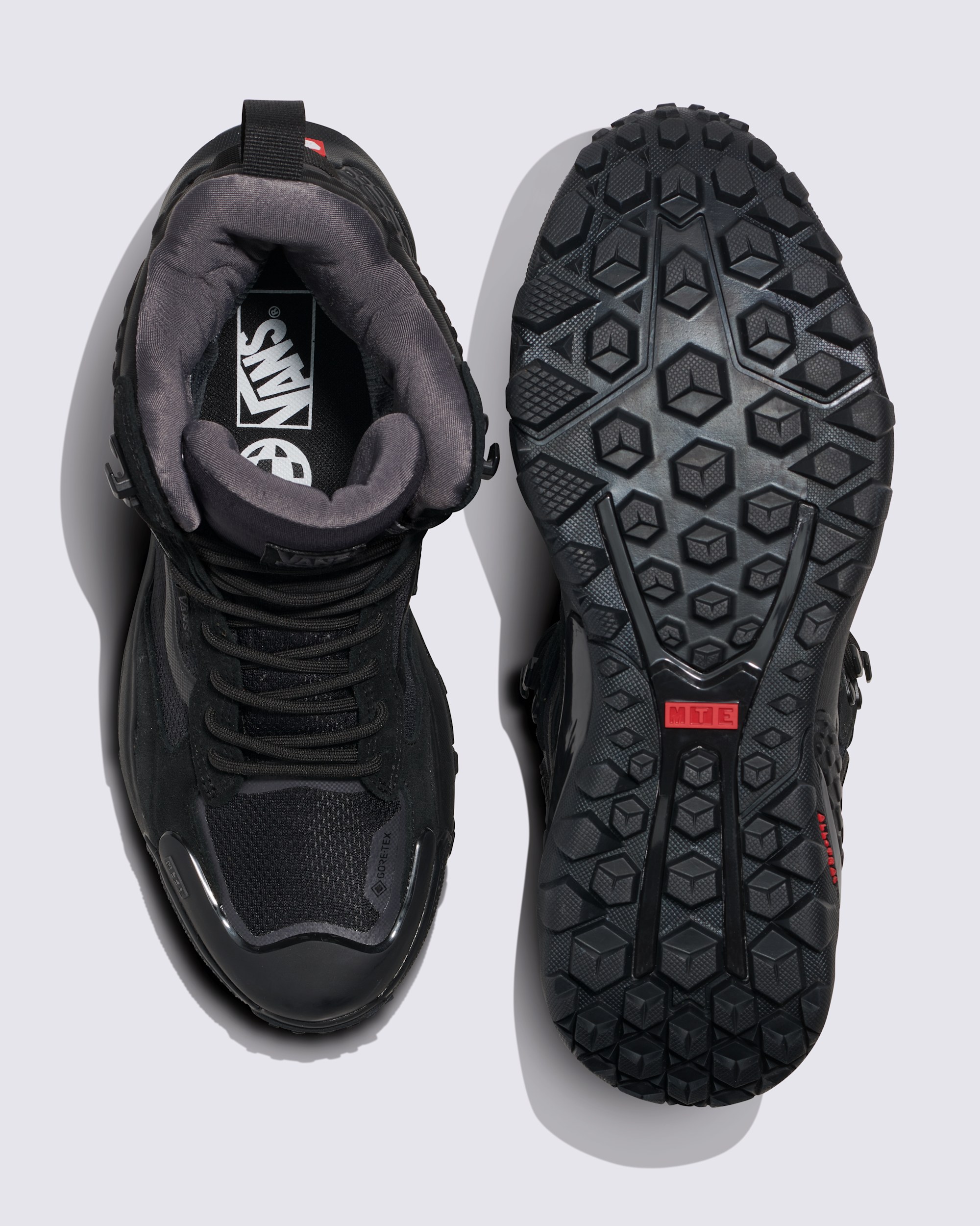 Crestline GORETEX Shoe VANS Black ALT2