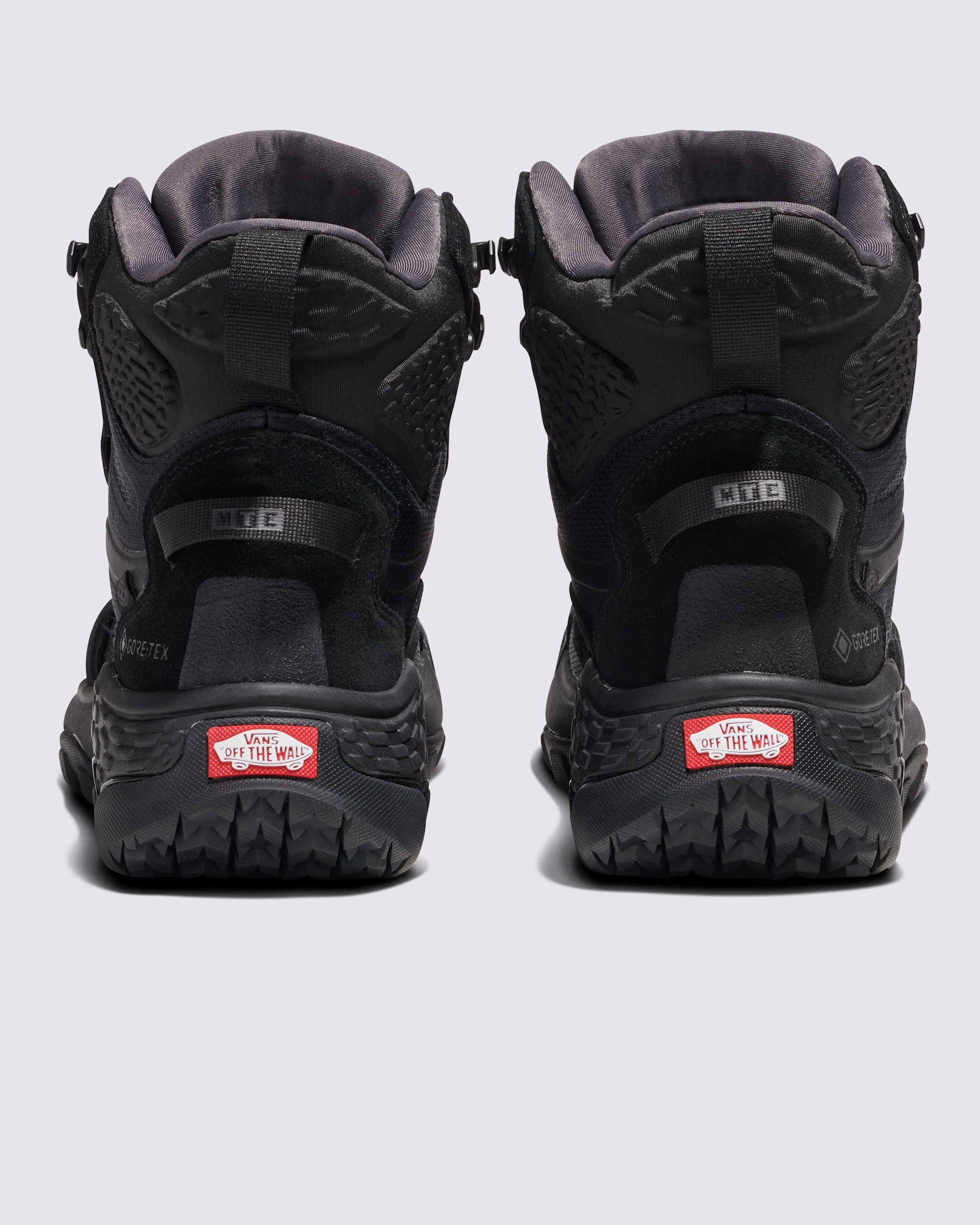 Crestline GORETEX Shoe VANS Black ALT3