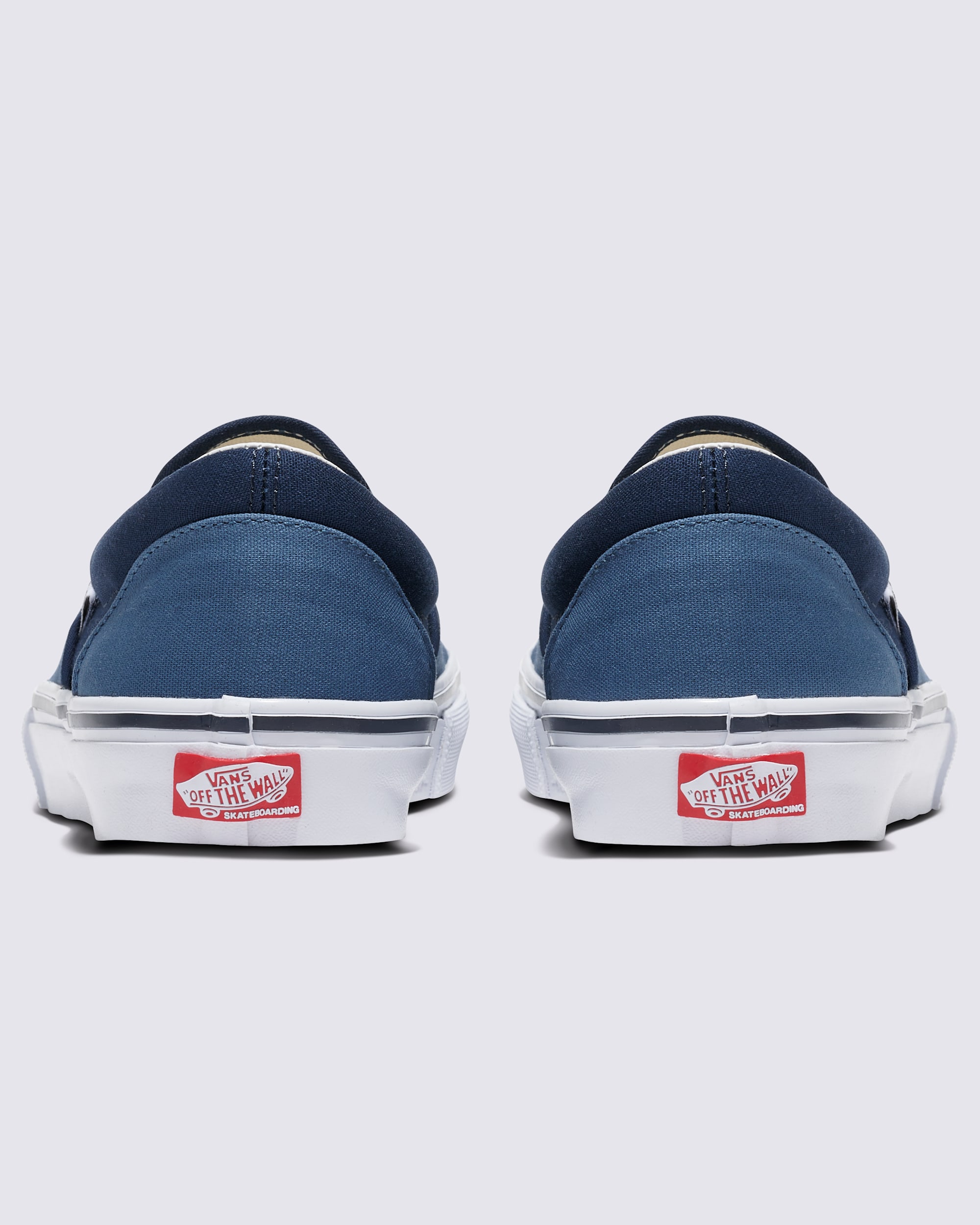 Customs Skate SlipOn Shoe VANS Customs ALT3