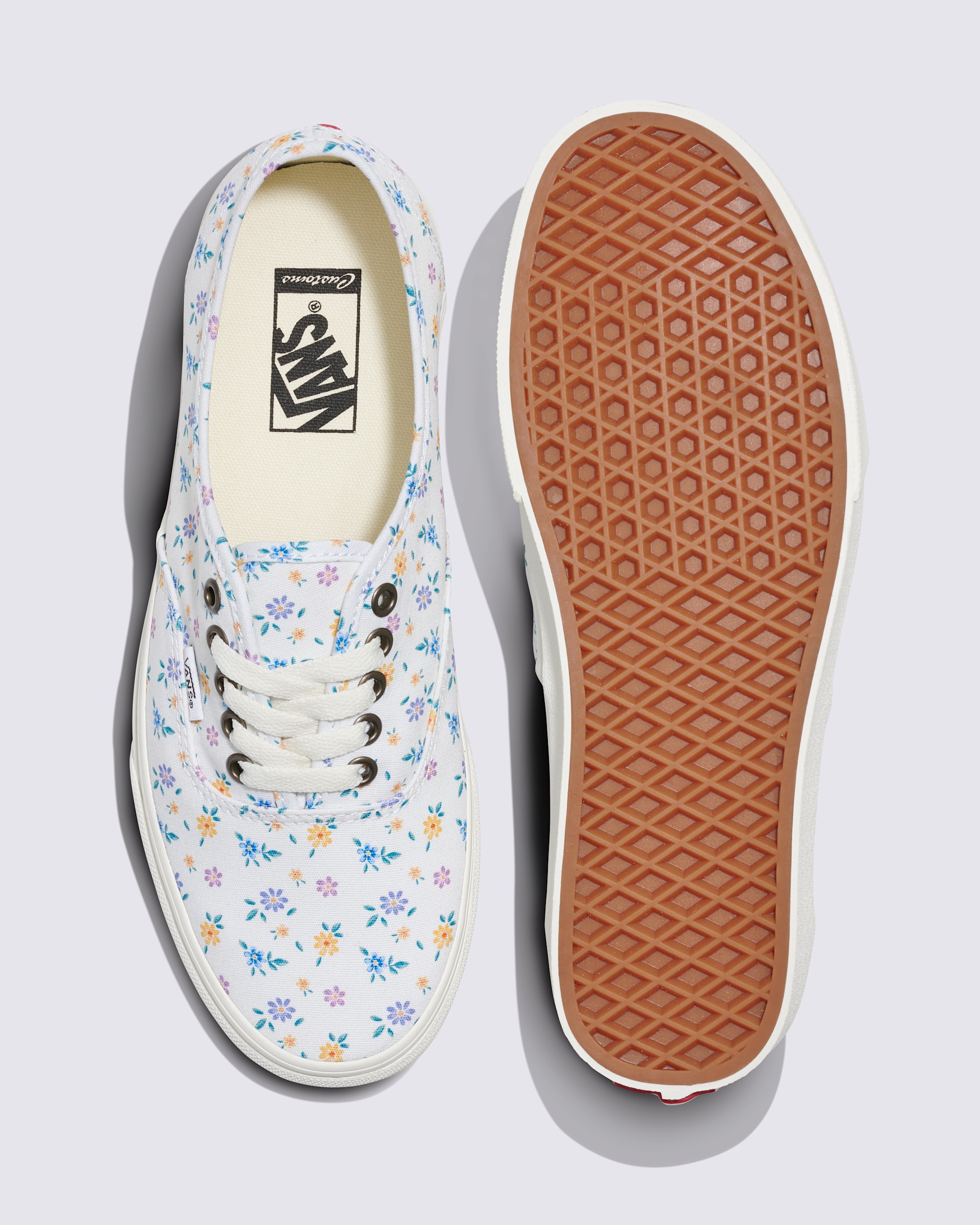 Customs Authentic Shoe VANS Customs ALT2