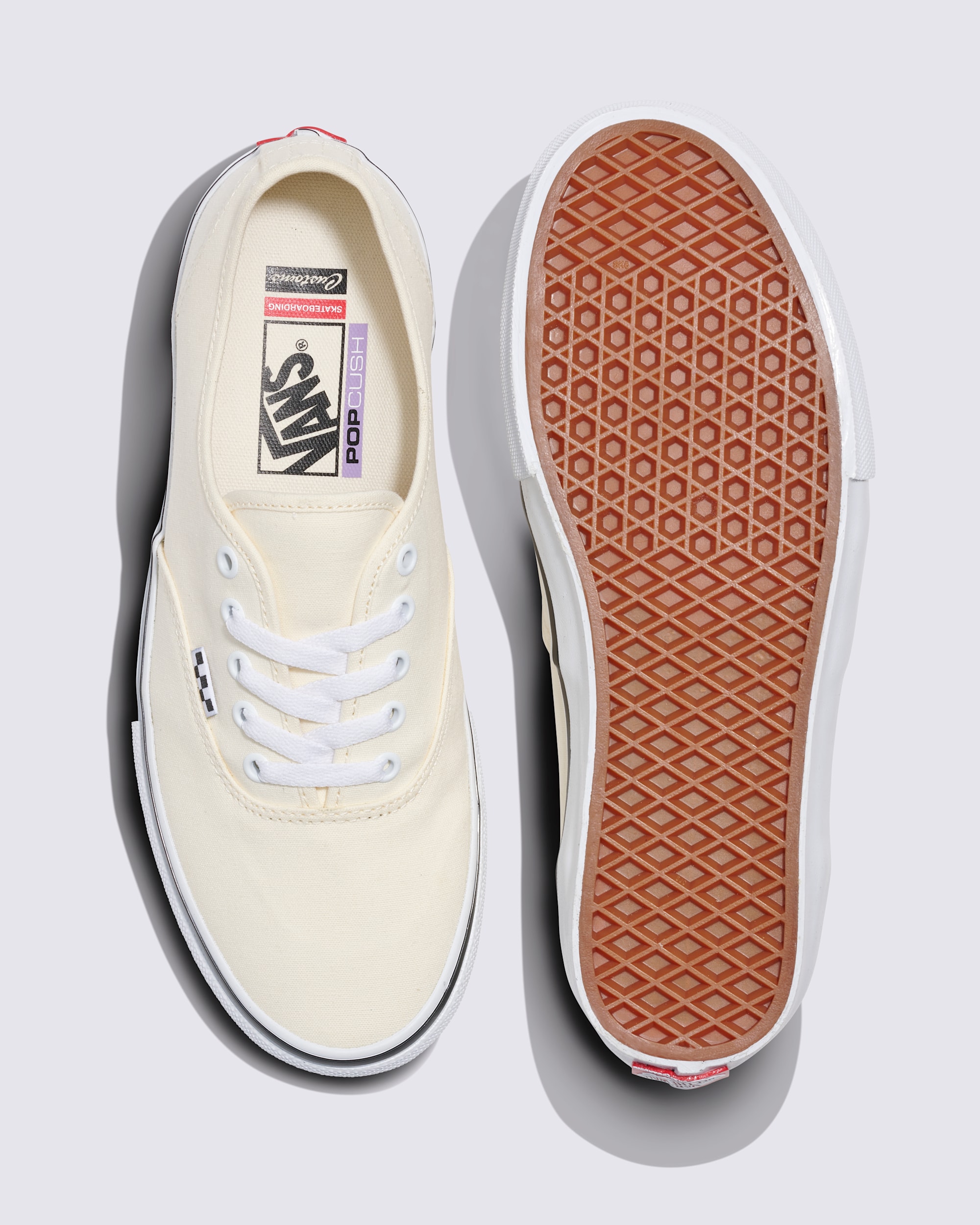 Customs Skate Authentic Shoe VANS Customs ALT2