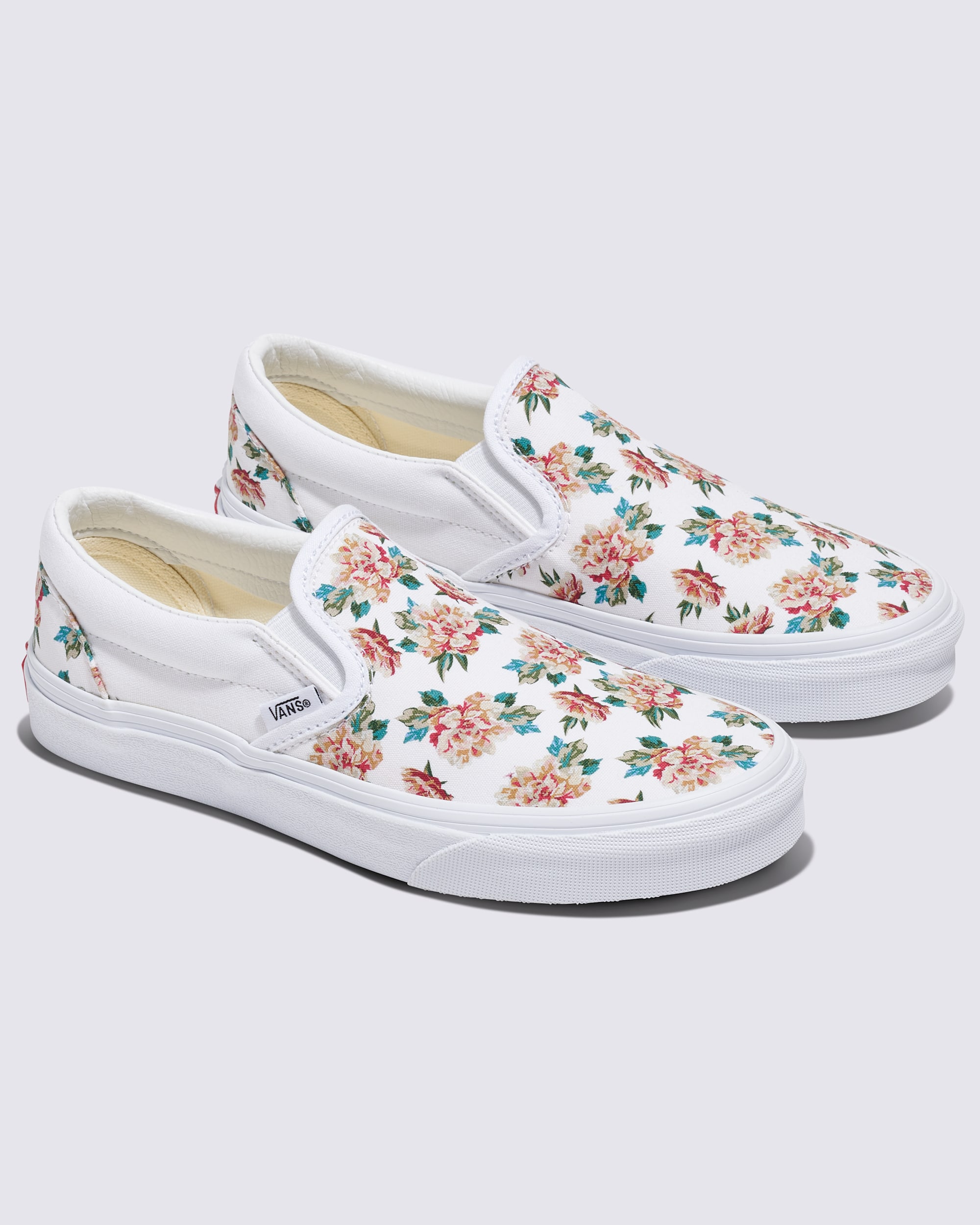 Customs Classic SlipOn Shoe VANS Customs ALT1