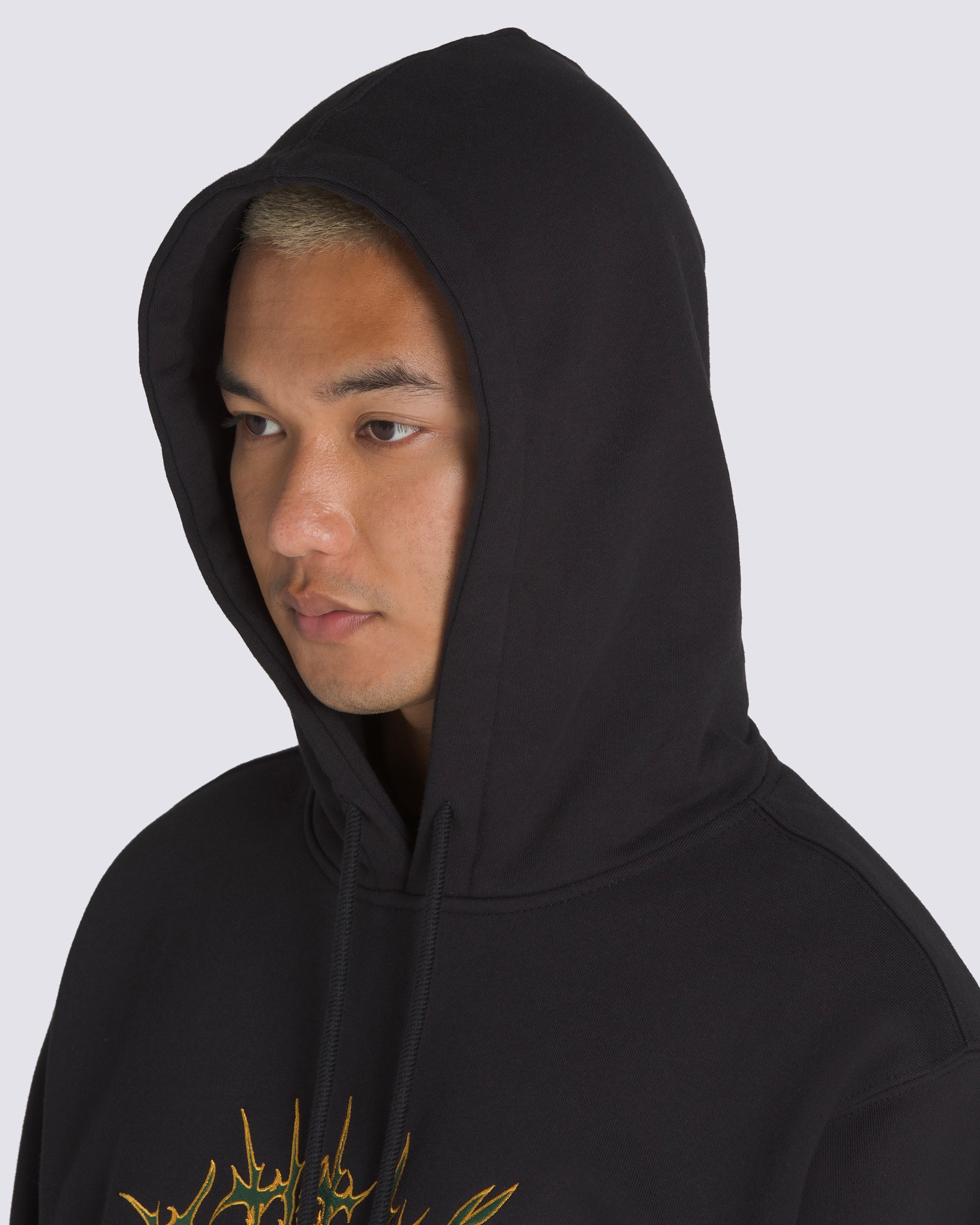 Metal Arch Pullover Hoodie in Black | Vans