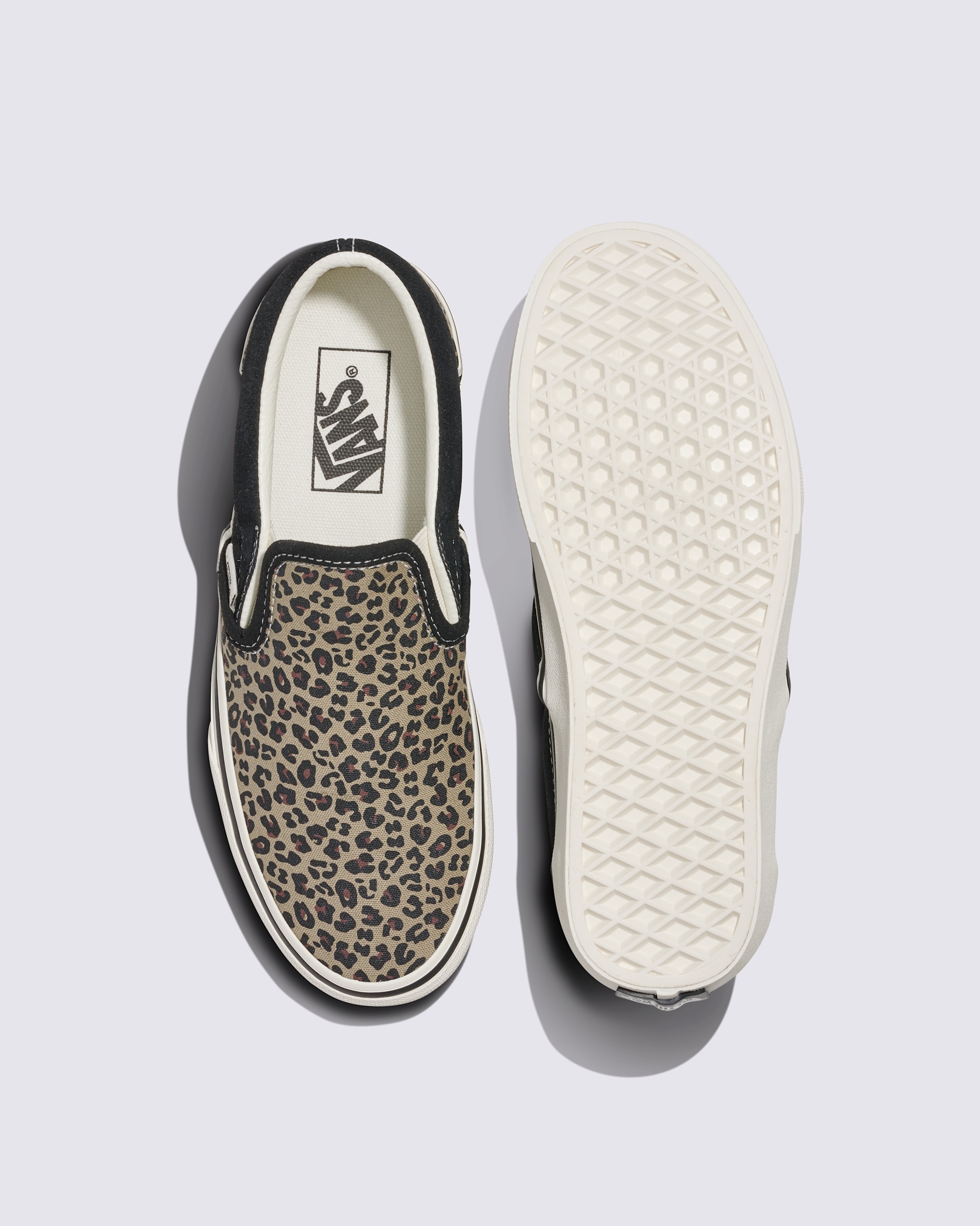 Classic SlipOn Shoe VANS Leopard Black ALT2