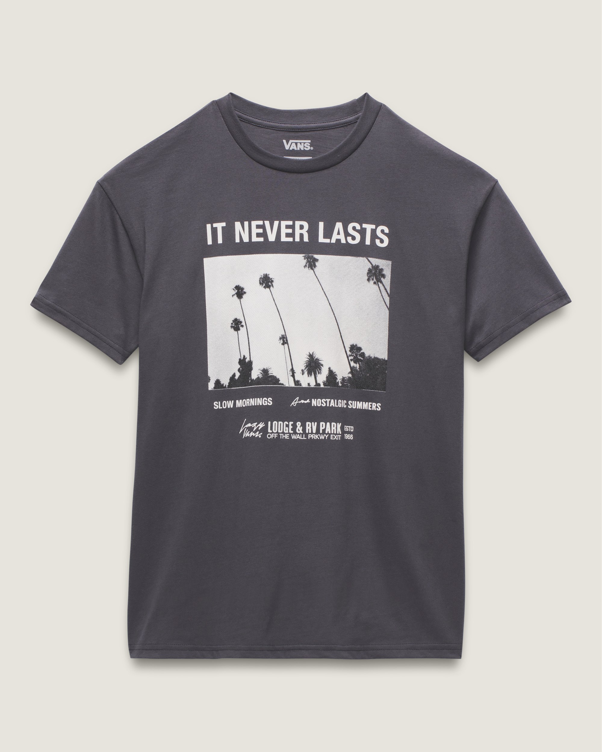 Photo Neverlasting TShirt VANS Asphalt Grey FLATLAY