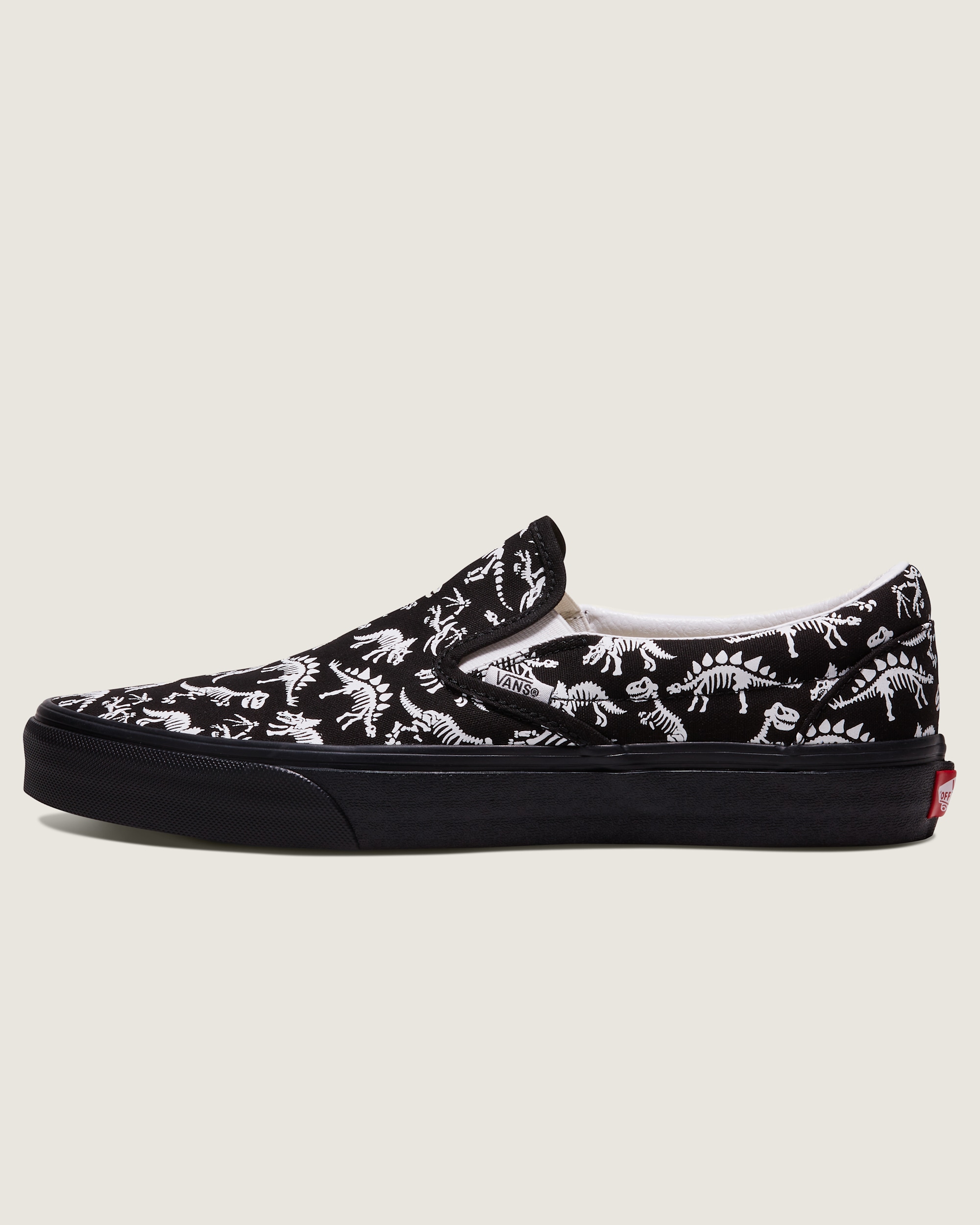 Customs Classic SlipOn Shoe VANS Customs HERO