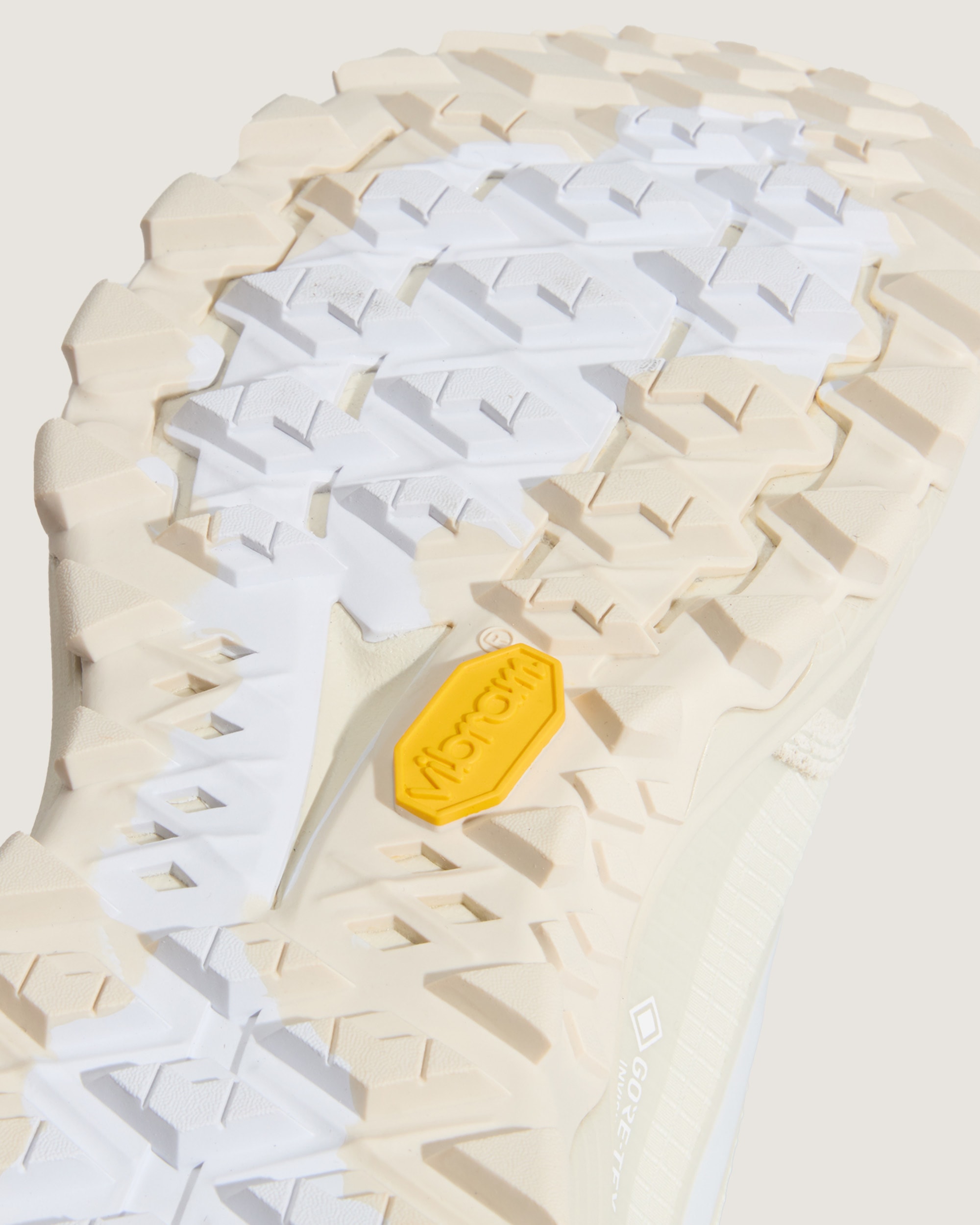 Crosspath XC GORETEX Shoe VANS White ALT6