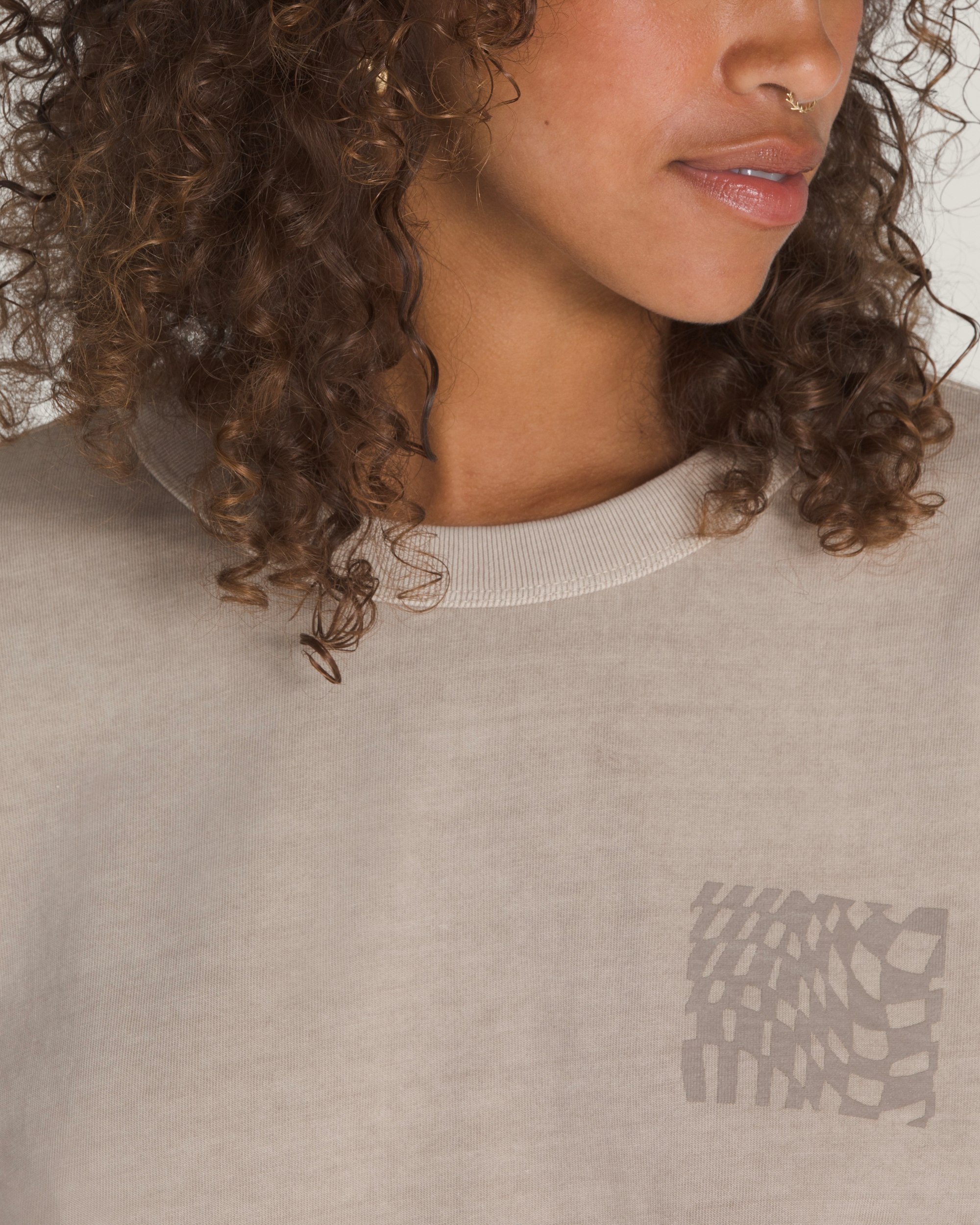 Big Cypress TShirt VANS Warm Grey ALT3