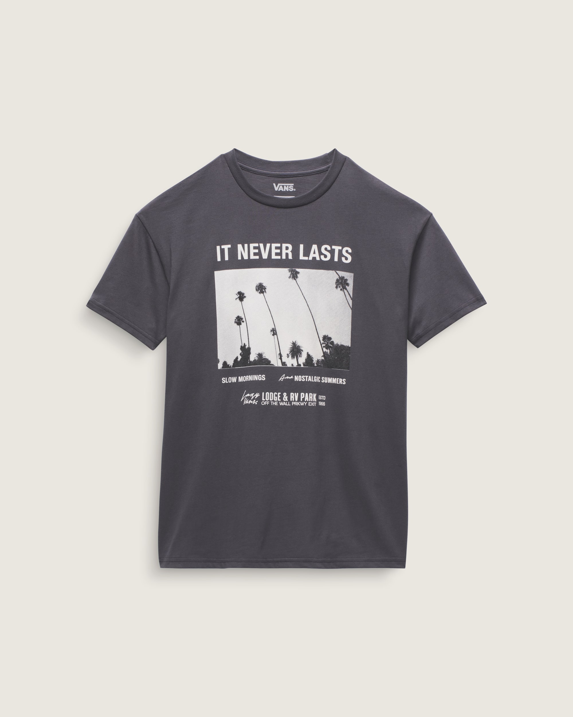 Photo Neverlasting TShirt VANS Asphalt Grey ALT3
